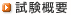 試験概要